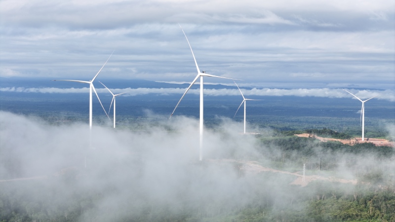 220kV線の急速な完成は、T&Tグループの組織能力、実施能力、長期的なコミットメントを証明しました。写真:T&T Group