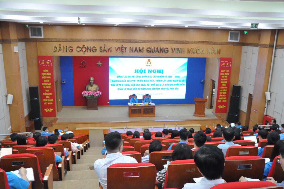 Toan canh hoi nghi. Anh: Bao Han