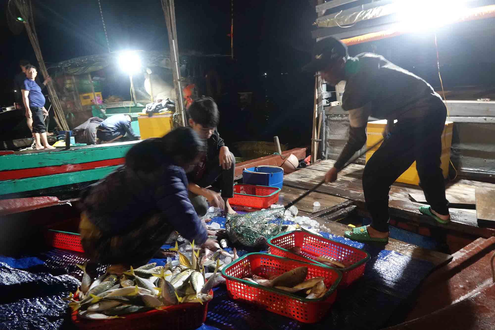 Ngu dan cap cang ca Cua Sot (xa Loc Ha, tinh Ha Tinh) ban hai san. Anh: Tran Tuan.