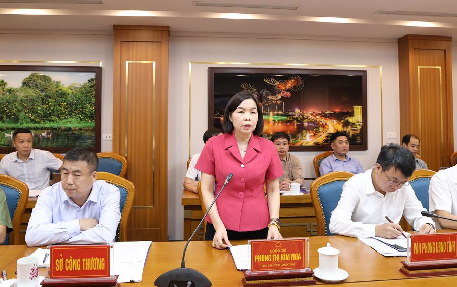 Pho Chu tich UBND tinh Phu Tho - Phung Thi Kim Nga phat bieu chi dao tai buoi lam viec