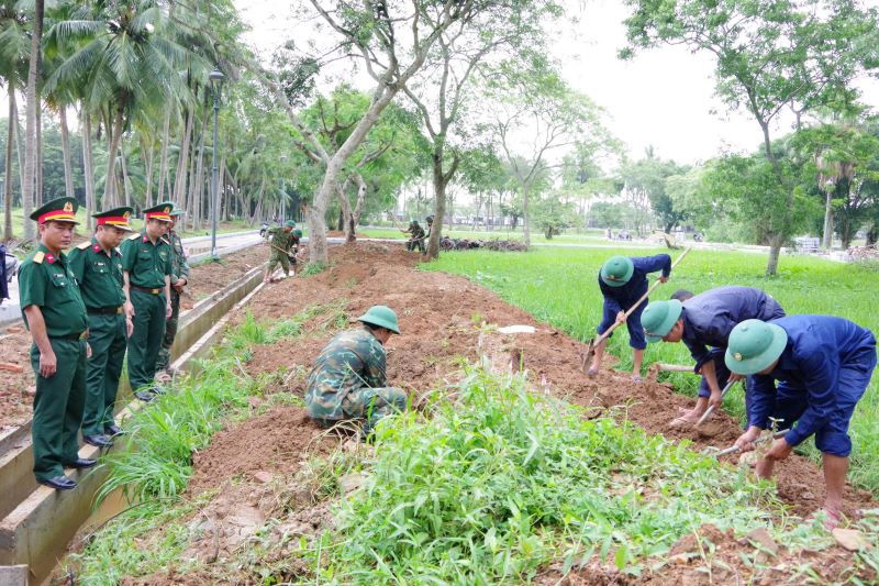 Team 584 continues to search for and collect the remains of martyrs in the Quang Tri Ancient Citadel. Photo: Xuan Dien