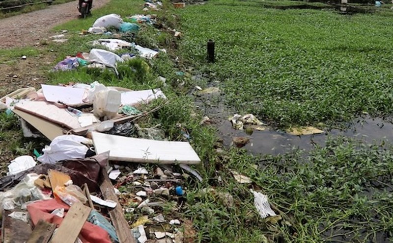 Vegetable fields are flooded with garbage, posing a risk of food insecurity.