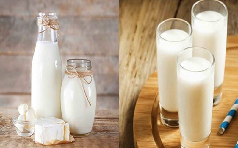 The secret to eliminating uric acid from milk and low-fat dairy products. Graphics: Ha May
