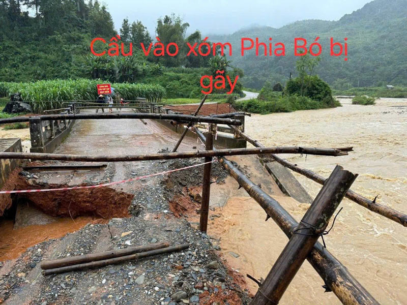 Nhieu cay cau cung sap do. Anh: Tan Van