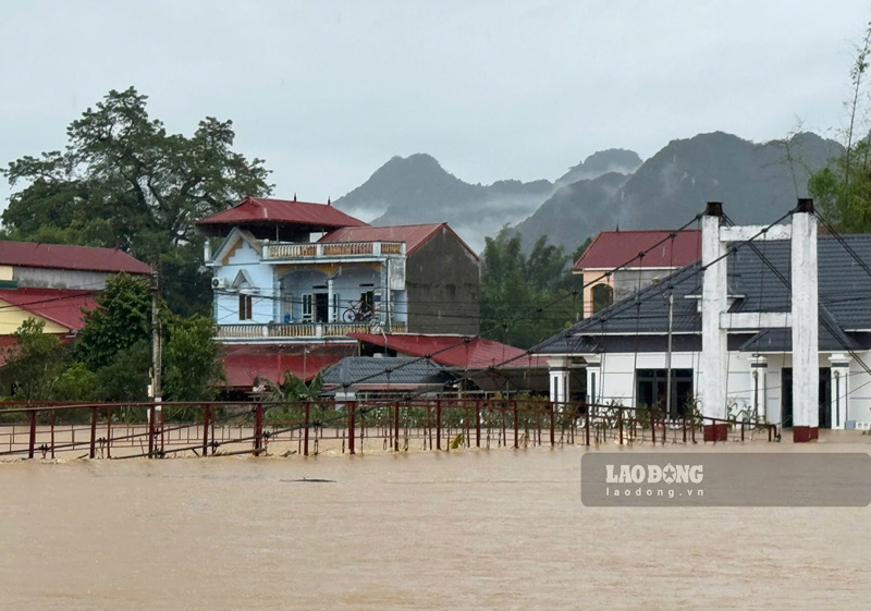 Mua lu bua vay, pha huy cac cay cau treo. Anh: Tan Van