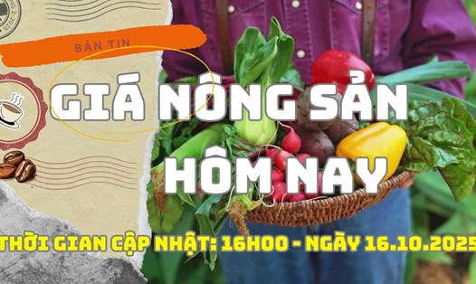 Giá nông sản hôm nay 16.10: Giá cà phê khởi sắc trở lại