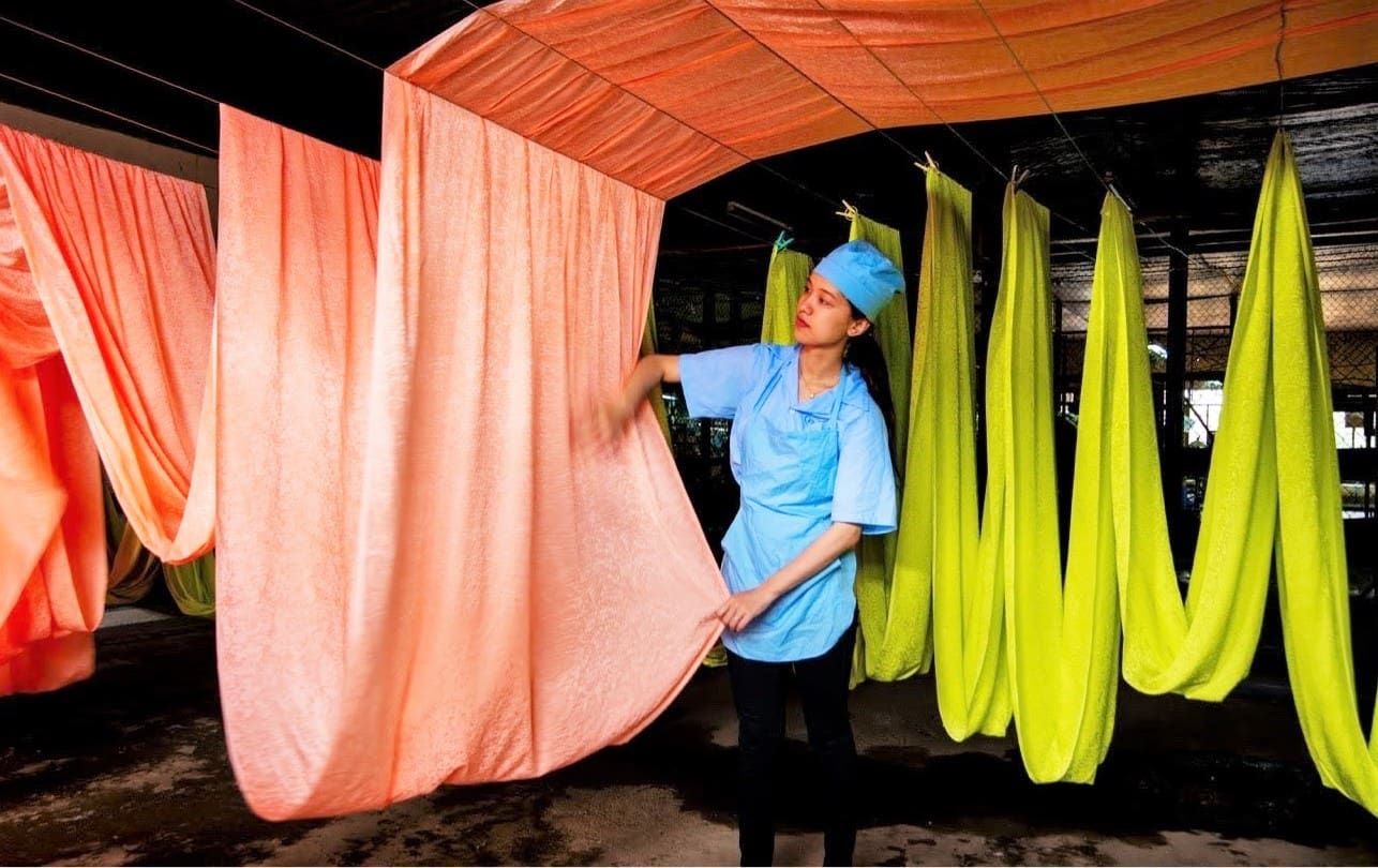 To lua Bao Loc (Lam Dong) co gia tri kinh te cao voi nhieu du dia va loi the phat trien. Anh: Phuc Khanh