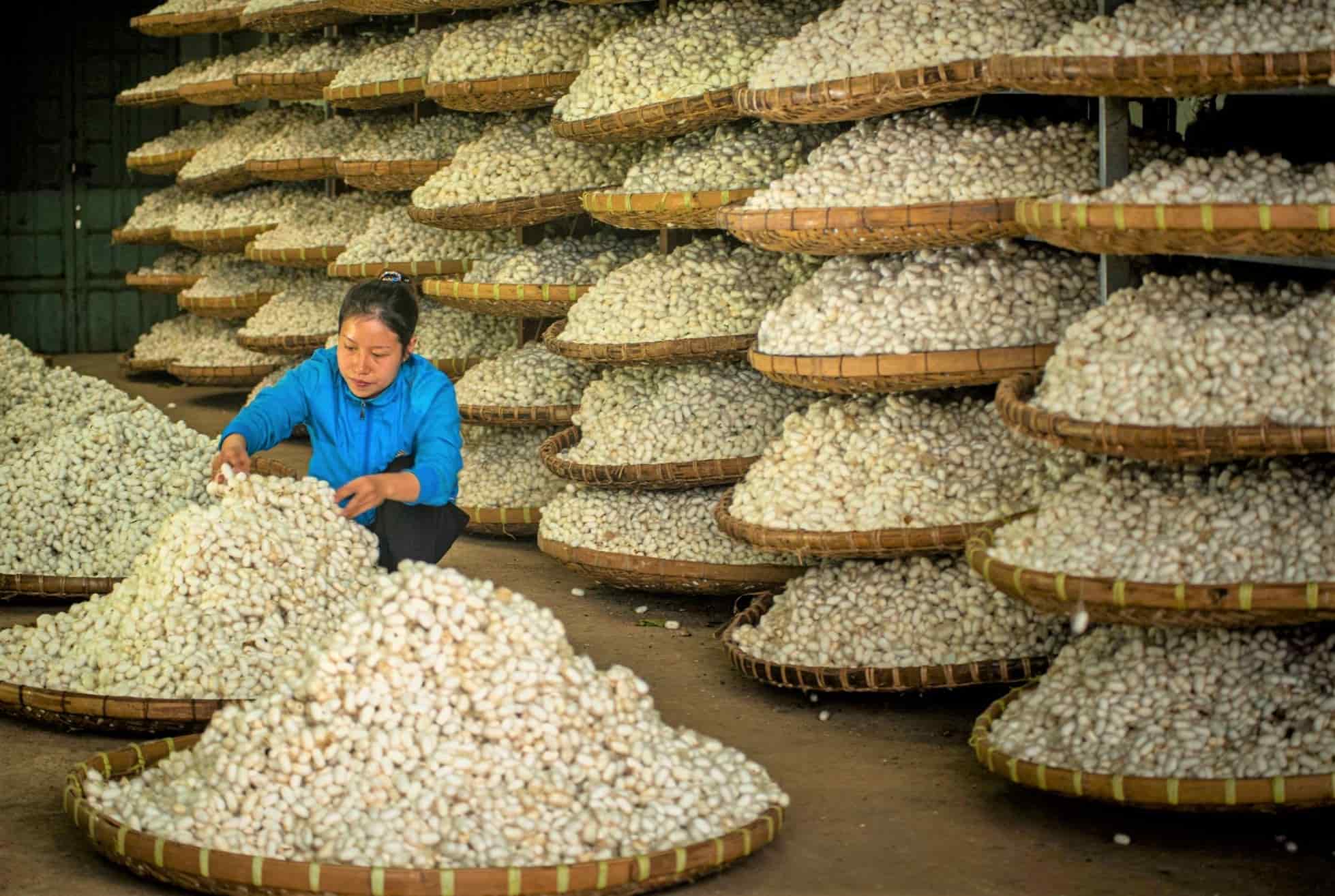 Lam Dong duoc manh danh la thu phu dau tam to Viet Nam. Anh: Phuc Khanh