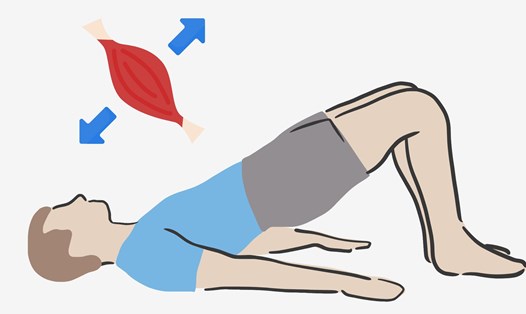 Tư thế cây cầu là bài tập hiệu quả giúp duy trì sức mạnh và ngăn ngừa tình trạng mất cơ bắp ở người trung niên. Đồ họa: Thanh Thanh