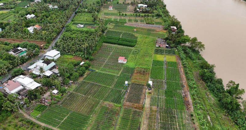Du an ha tang ket noi giao thong va thuy loi giup nang tam gia tri san xuat hoa, cay kieng, cay an trai dac san. Anh: Hoang Loc