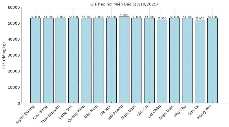 Gia heo hoi ngay 17.10 tai khu vuc mien Bac. Do hoa: Thuy Linh