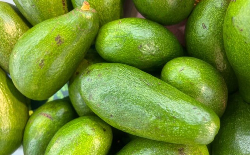 Smart food choices help lower bad cholesterol. Photo: Thuy Duong