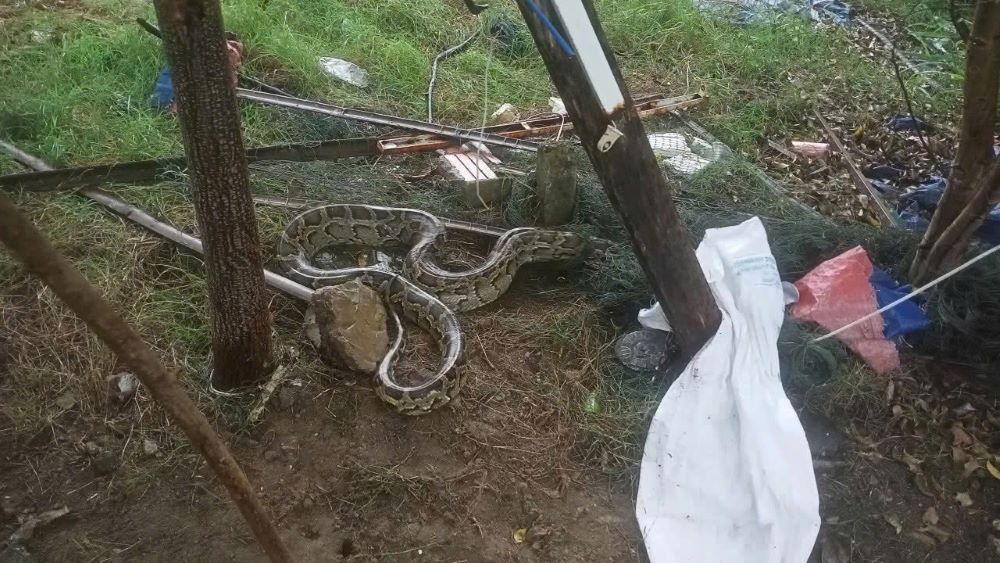 Quarrying coastal land into residential areas in Da Nang. Photo: Son Tra