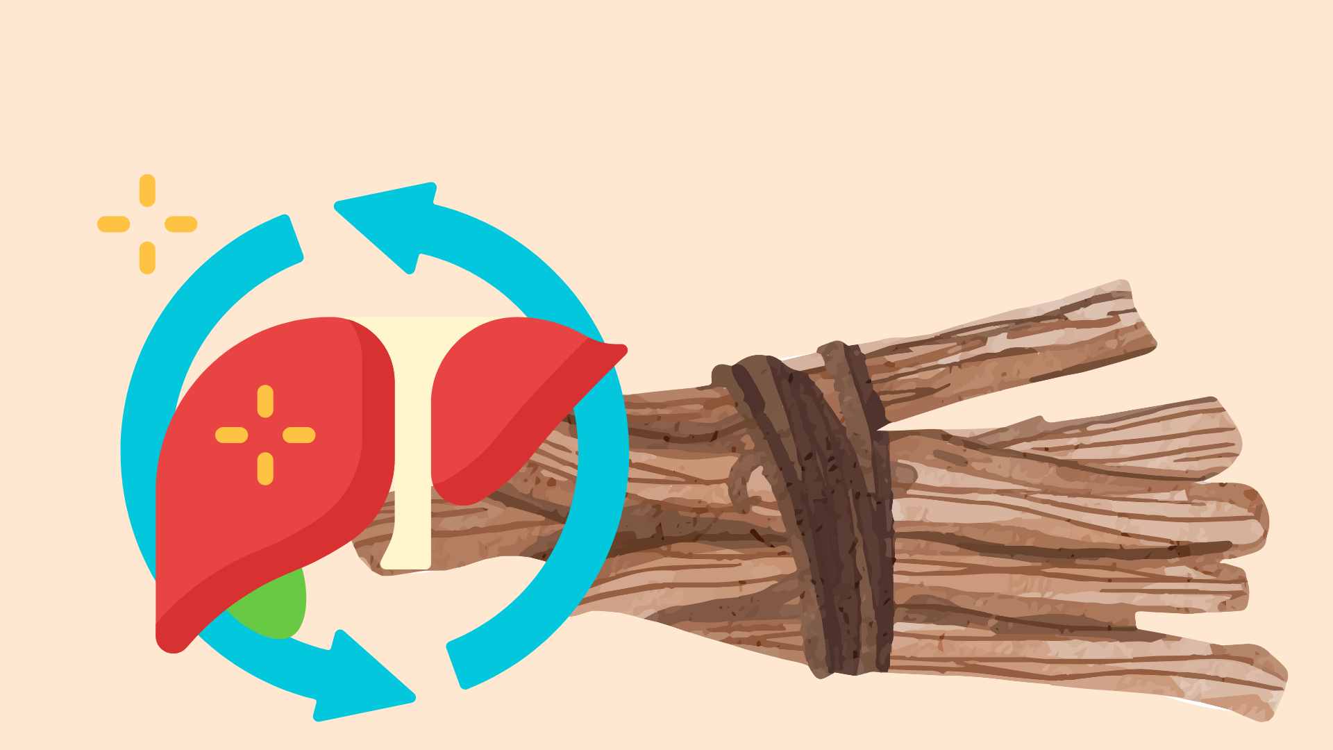 Licorice root is scientifically proven to help cool down, support liver function and detoxify effectively. Graphic photo: Hoang Loc