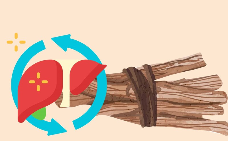 Licorice root is scientifically proven to help cool down, support liver function and detoxify effectively. Graphic photo: Hoang Loc