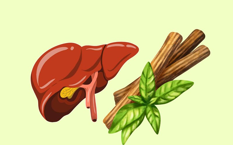 Licorice root helps detoxify the liver. Graphic photo: Huong Giang