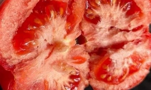 Ăn cà chua đúng cách để hỗ trợ hạ huyết áp. Ảnh: Kiều Vũ