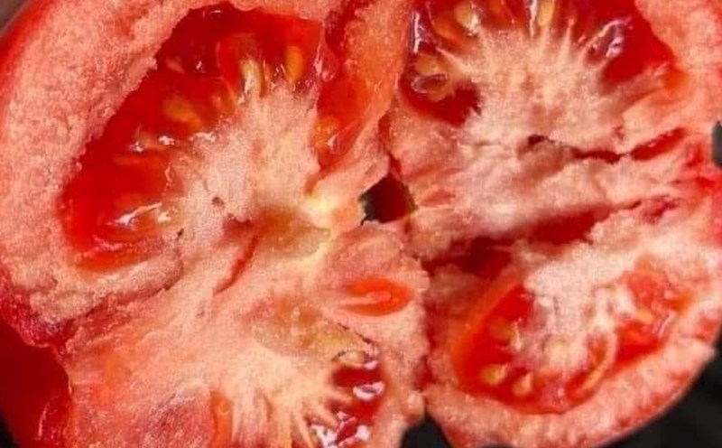 Eat tomatoes properly to help lower blood pressure. Photo: Kieu Vu