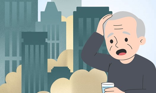 Não bộ suy giảm nhanh hơn khi tiếp xúc lâu dài với ô nhiễm không khí. Đồ họa: Thiện Nhân