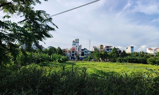 Người dân bày tỏ mong muốn chuyển mục đích sử dụng đất để đầu tư dự án. Ảnh: Xuyên Đông