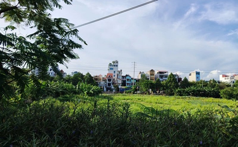 People expressed their desire to change the purpose of land use to invest in the project. Photo: Xuyen Dong