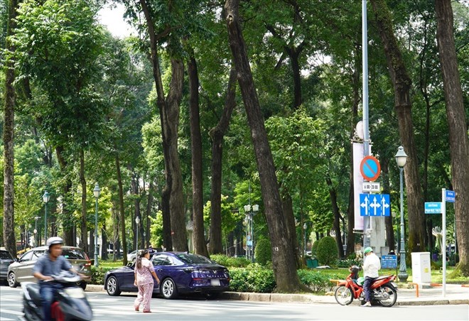 TPHCM cam duong Pham Ngoc Thach phuc vu chuoi su kien lon ve van hoc nghe thuat. Anh: Nguyen Chan