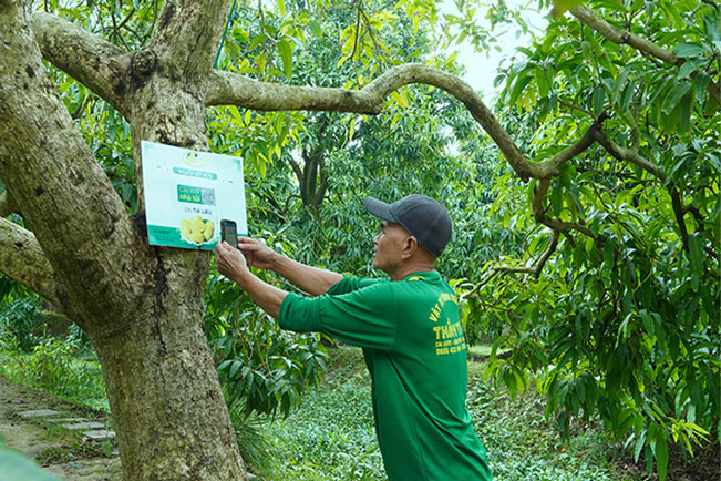 Nông dân Đồng Tháp làm chủ công nghệ trong Làng thông minh