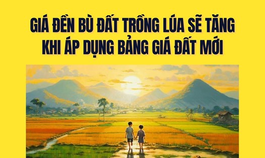 Giá đền bù đất trồng lúa sẽ tăng khi áp dụng bảng giá đất mới. Đồ họa: Trà My