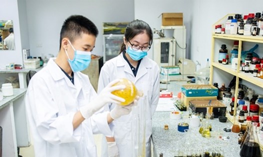 Nhà khoa học trẻ tài năng, kỹ sư trẻ tài năng sẽ được hưởng nhiều chính sách ưu đãi. Ảnh: VGP