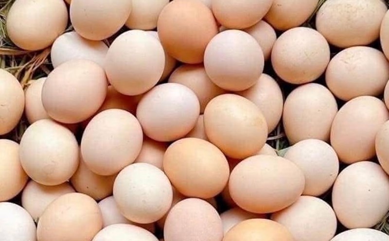 Eggs are not the main culprit for increased cholesterol. Photo: Kieu Vu