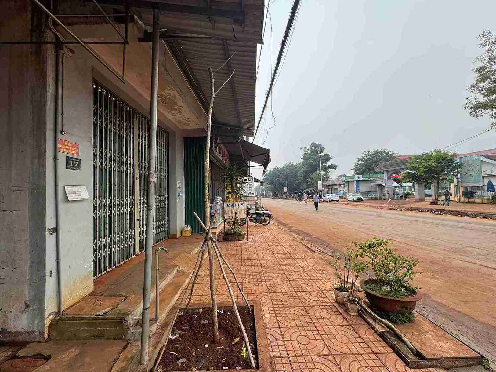 Cay xanh trong lot vao ben trong khuon vien, sat nha dan. Anh: Bao Trung