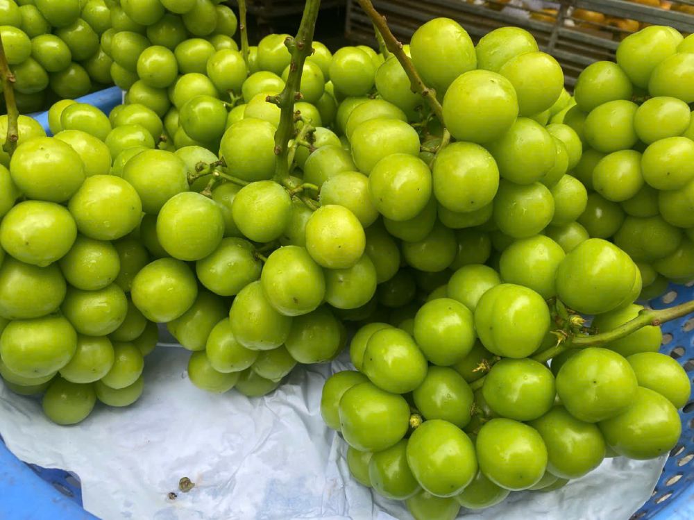 Berries are rich in antioxidants, which are good for the kidneys and liver. Photo: Tra My