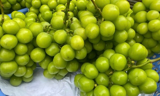 Các loại quả mọng giàu chất chống oxy hóa, là thực phẩm tốt cho thận và gan. Ảnh: Trà My