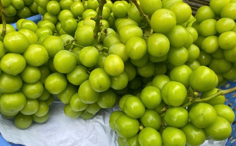 Las bayas son ricas en antioxidantes y son alimentos buenos para los riñones y el higado. Foto: Tra My