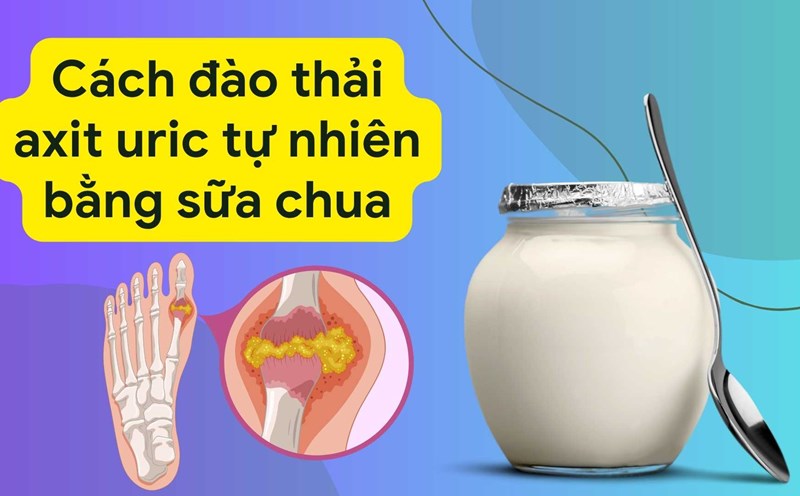 Yogurt helps control uric acid effectively. Graphic photo: Huong Son