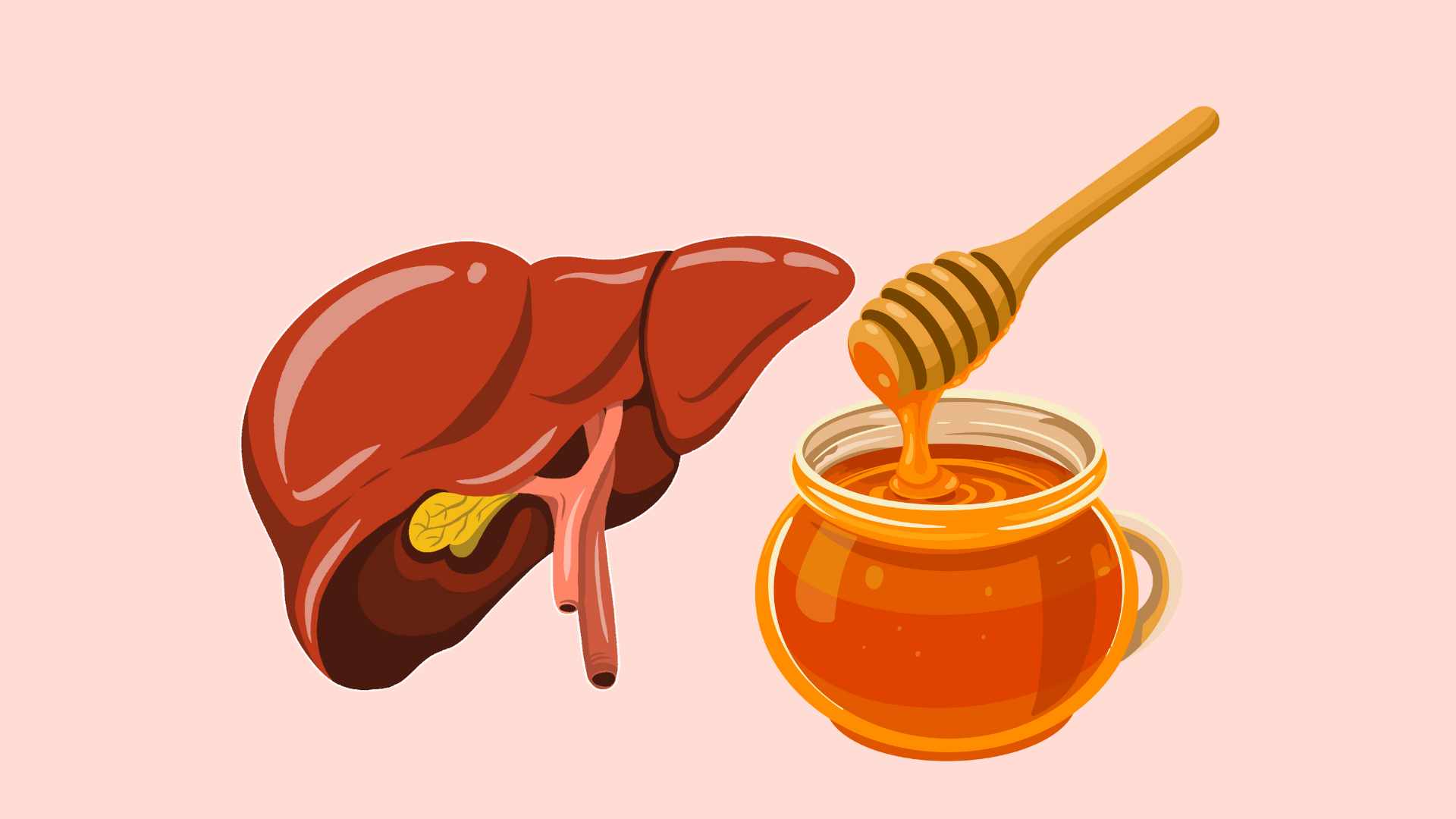 Le miel aide a detoxifier rapidement le foie. Photo graphique : Huong Giang
