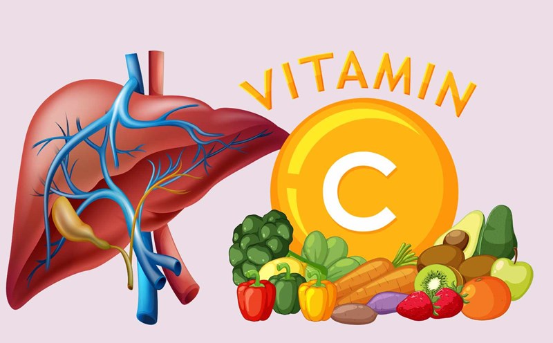 Vitamin C helps detoxify the liver strongly that everyone should supplement