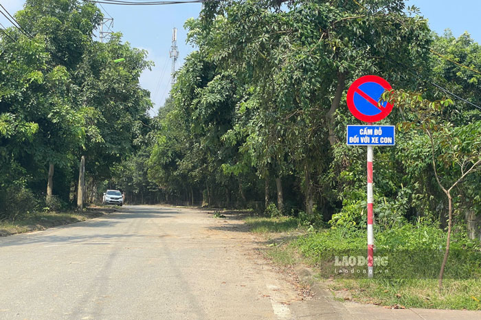 Biển cấm được cắm cuối đường nhưng không thể ngăn xe đỗ. Ảnh: Đinh Đại