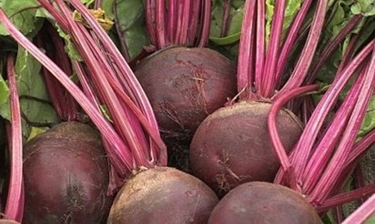 Nước ép củ dền là món sau ăn sáng giúp hạ huyết áp tự nhiên. Ảnh: Thu Thuỷ.