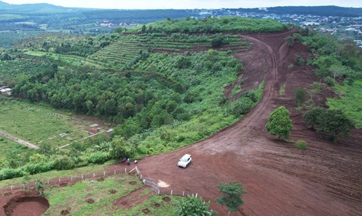 Đường lên núi Chư A (phường Hội Phú, Gia Lai) bị người dân tự ý san ủi. Ảnh: Hoài Phương