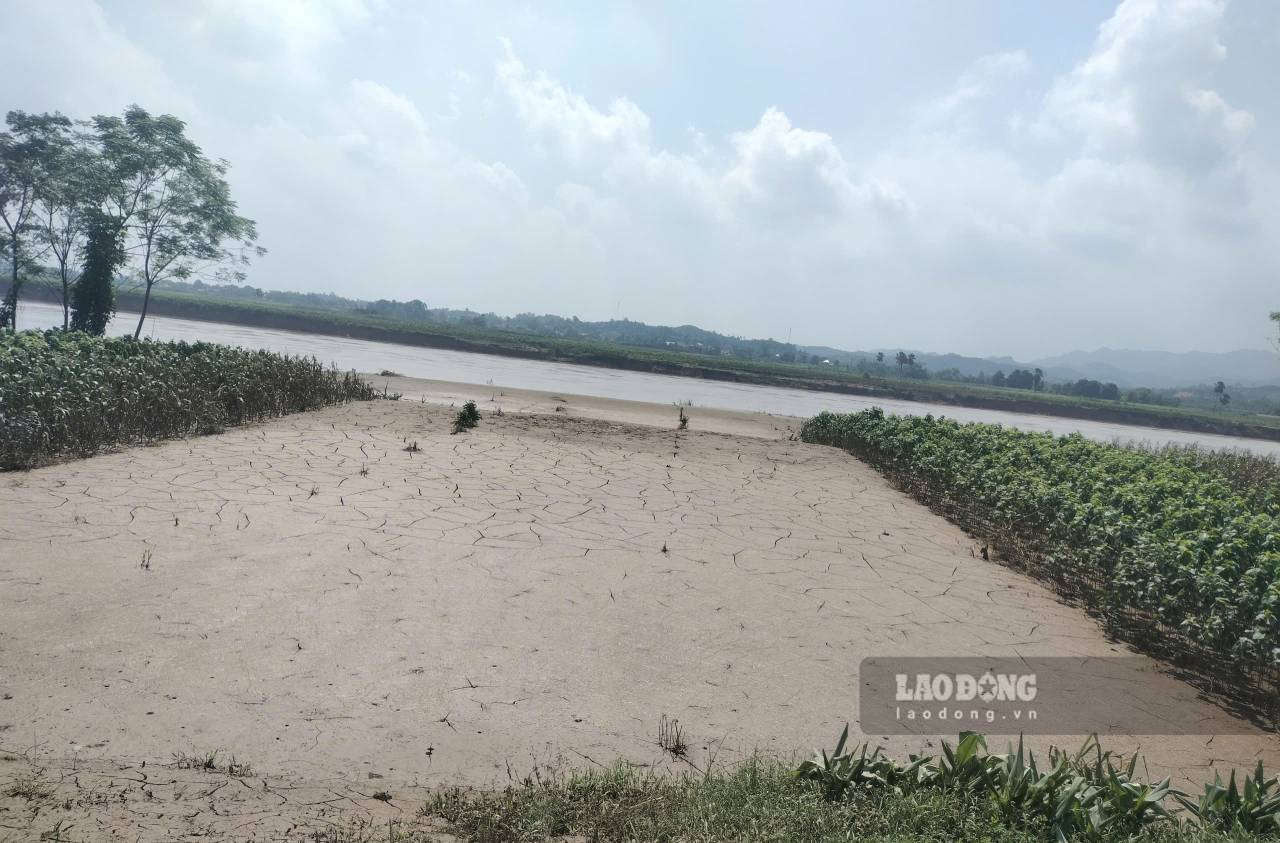 Co nhung dien tich chi con la ruong bun va phu sa. Anh: Van Duc