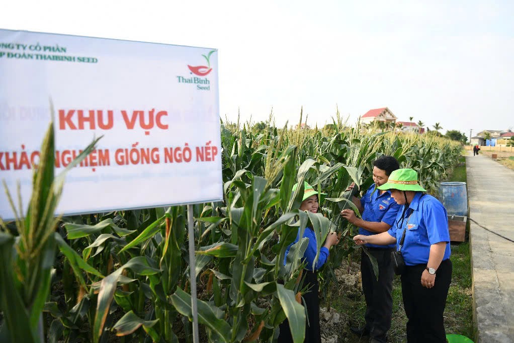 Nho ung dung cong nghe cao, nhung nam qua, nganh nong nghiep Viet Nam gat hai nhieu thanh tuu dang ke. Anh: Ai Van.
