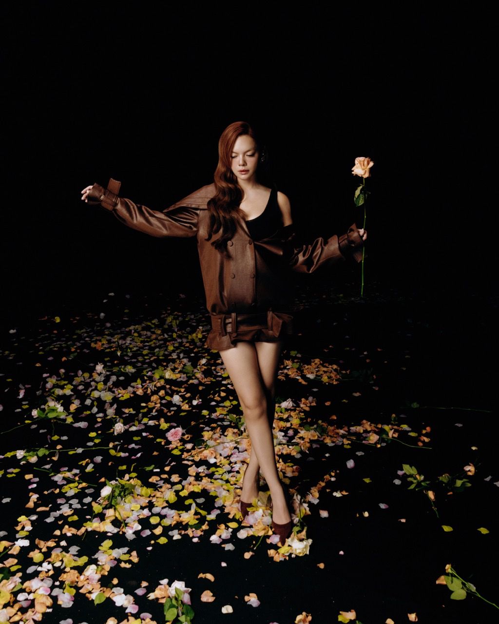 Anh: Nghe si cung cap.