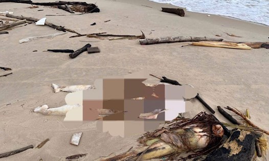 Thi thể nghi nữ giới trôi dạt vào bờ biển ở Quảng Trị. Ảnh: Công an xã Cam Hồng