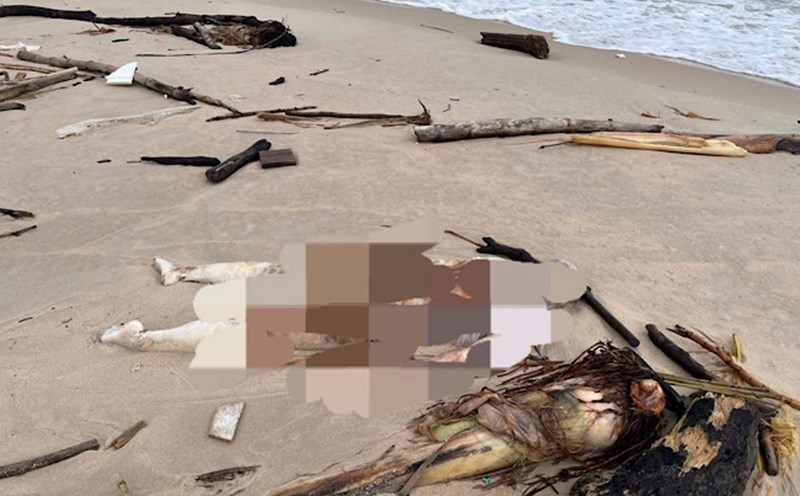 The body of a female suspect drifted ashore in Quang Tri. Photo: Cam Hong Commune Police