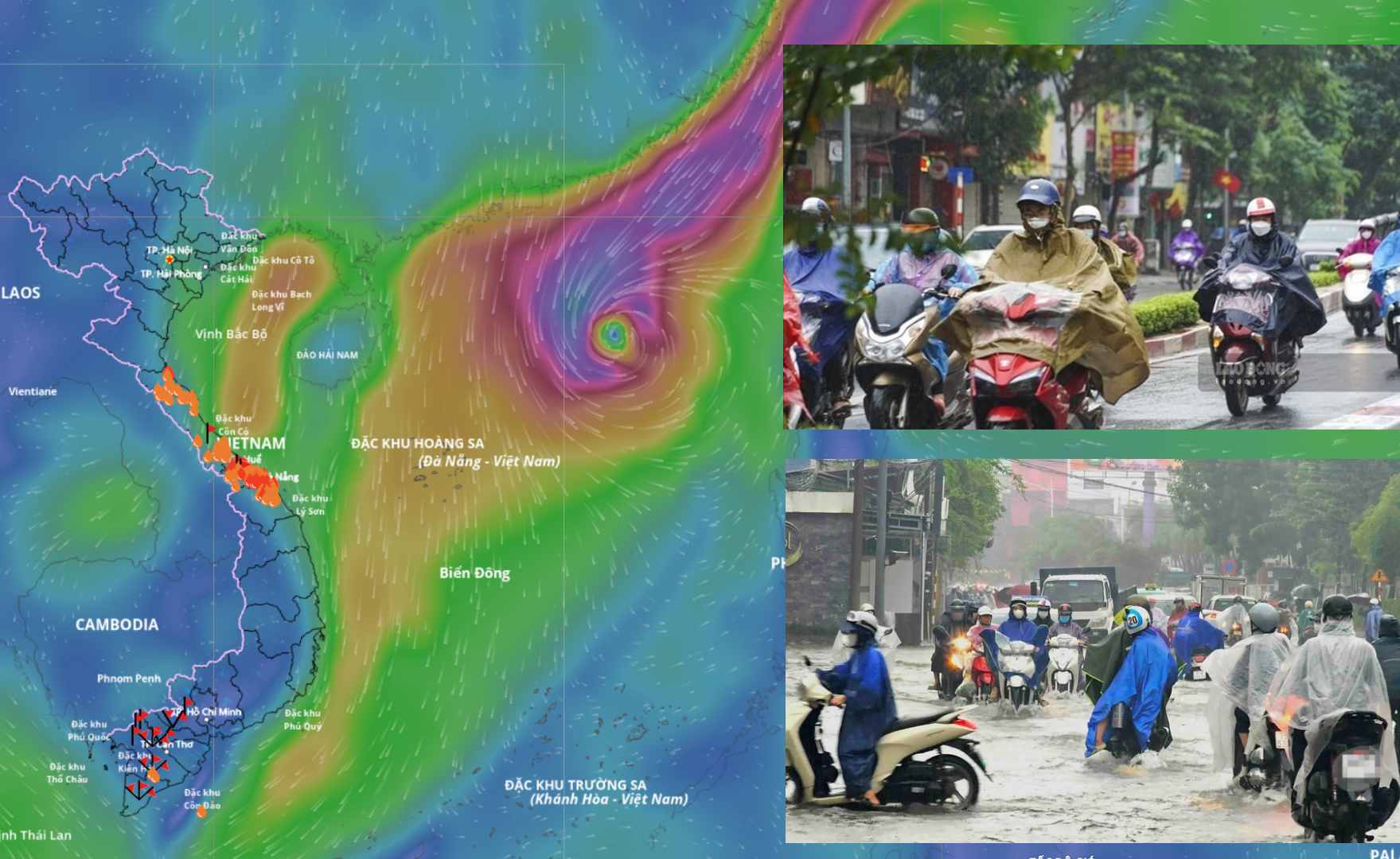 The East Sea is forecast to welcome storm No. 12 Fengshen in the evening of October 19. Source: Vietnam Disaster Monitoring System