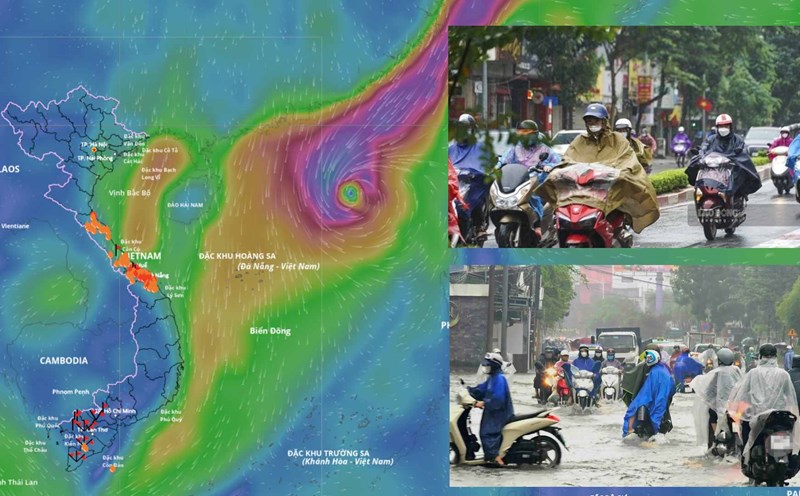 The East Sea is forecast to welcome storm No. 12 Fengshen in the evening of October 19. Source: Vietnam Disaster Monitoring System