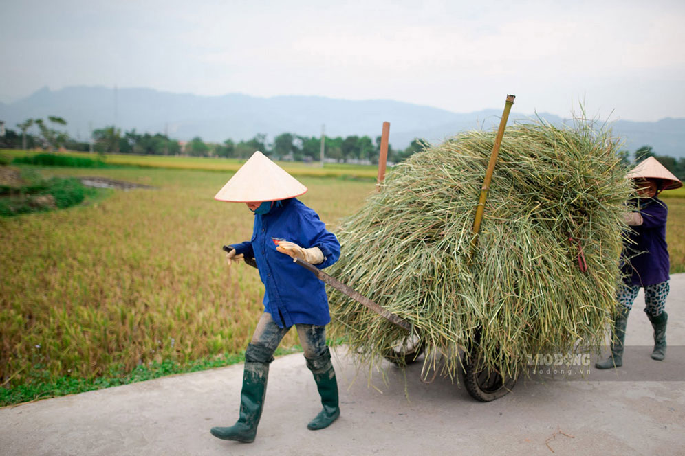Nghe An province has maintained more than 6,000 Savings and Loan Groups in recent years. Photo: Hai Nguyen