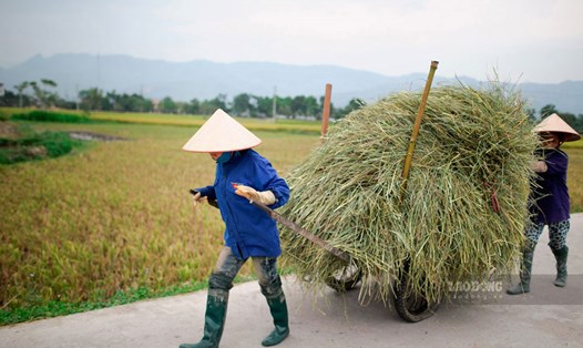 Tỉnh Nghệ An đã duy trì được hơn 6.000 Tổ tiết kiệm và vay vốn trong những năm gần đây. Ảnh: Hải Nguyễn