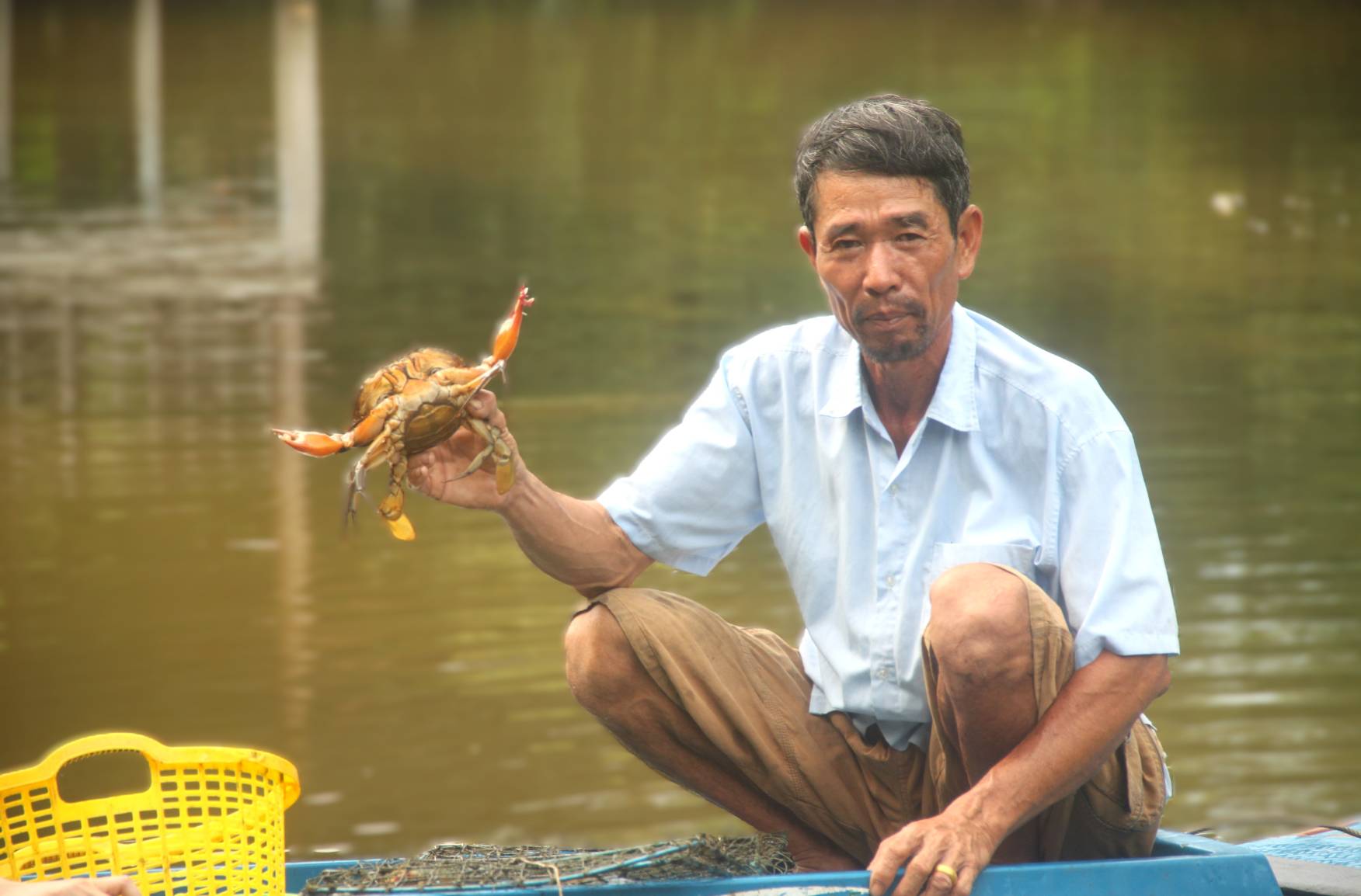 Exploitation de crabe de Ca Mau sous les arbres humides. Photo : Nhat Ho